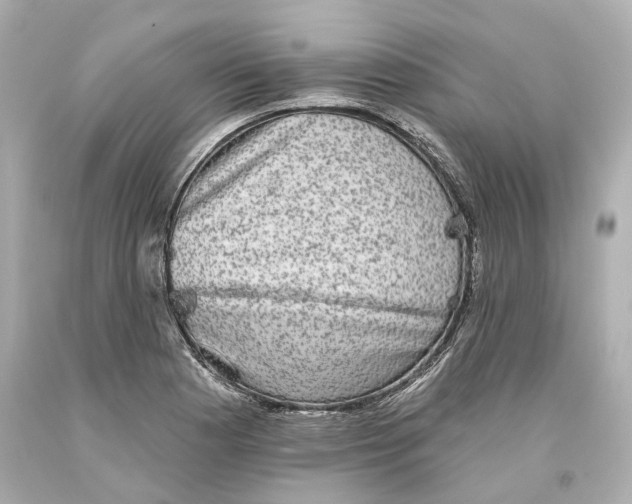 X0000093581177200711051112