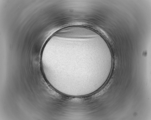 X0000093581178200711051112