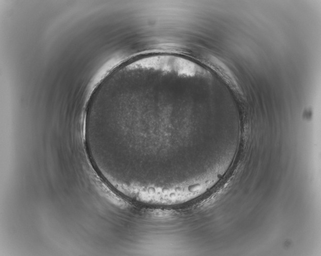 X0000093581180200711051112