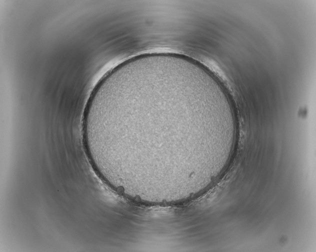 X0000093581181200711051112