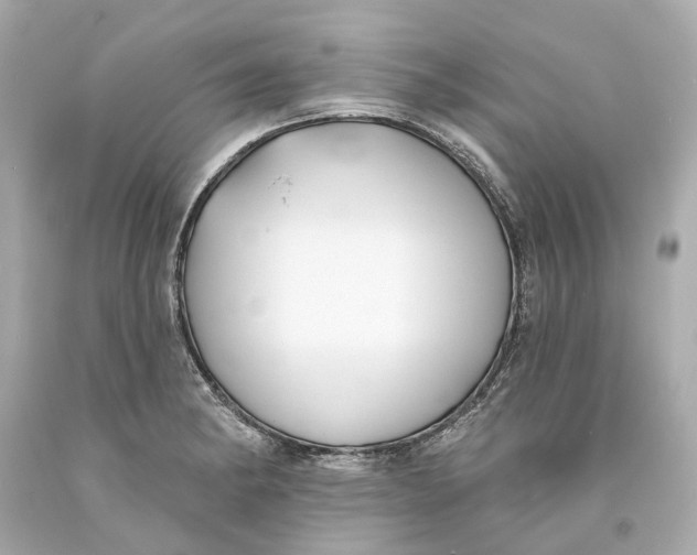 X0000093581182200711051112