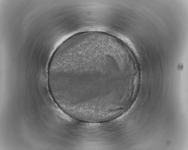 X0000093581184200711051112