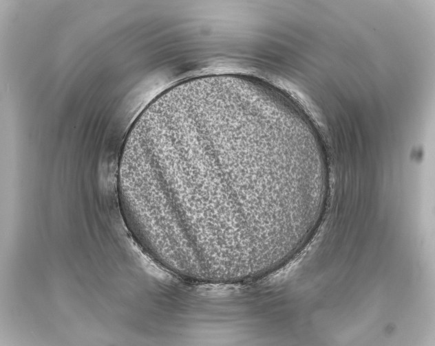 X0000093581185200711051112