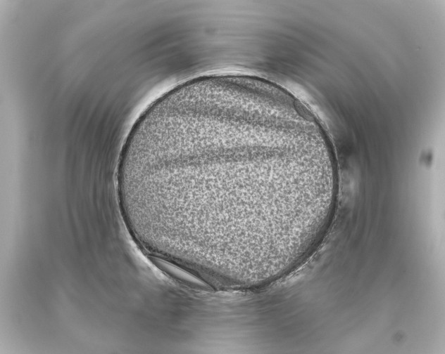 X0000093581189200711051112