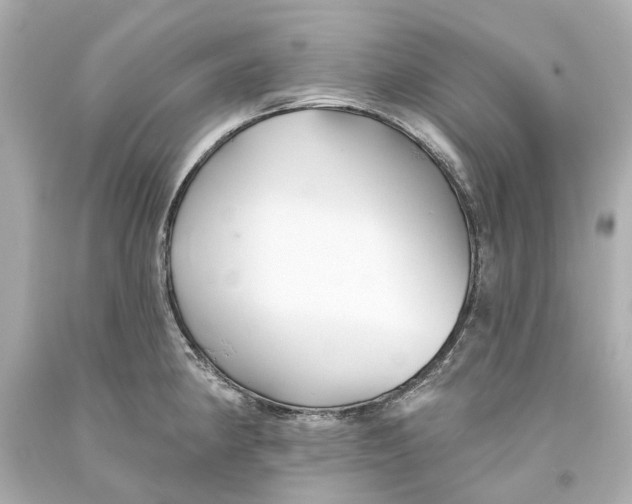 X0000093581190200711051112