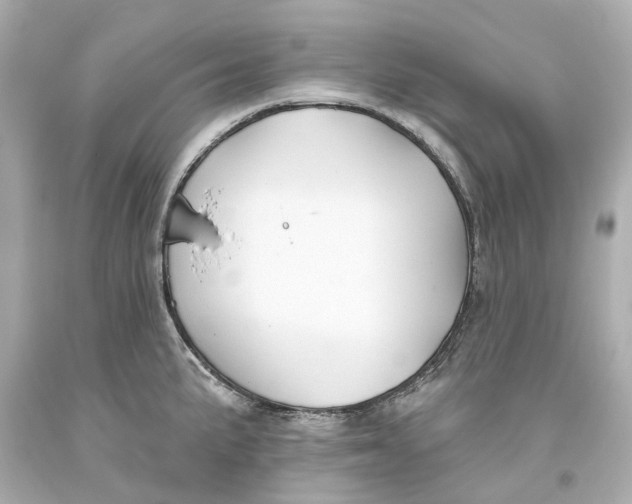 X0000093581191200711051112