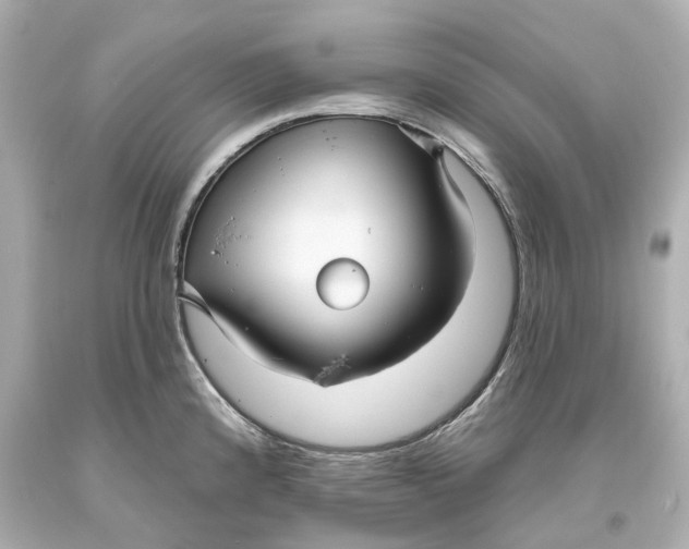 X0000093581192200711051112