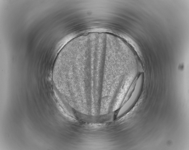 X0000093581193200711051112