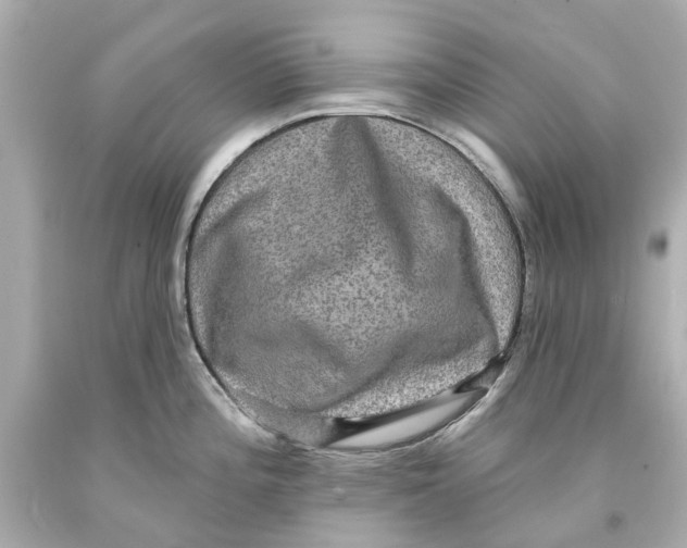 X0000093581196200711051112