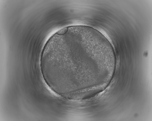 X0000093581197200711051112