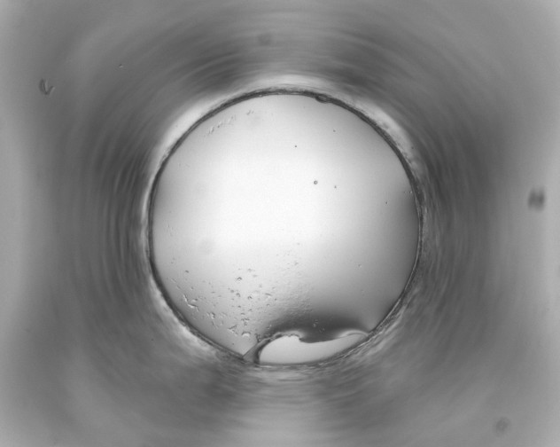 X0000093581199200711051112