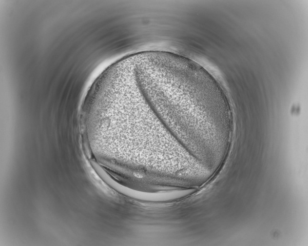 X0000093581200200711051112