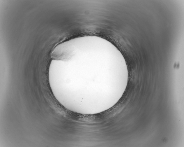 X0000093581201200711051111