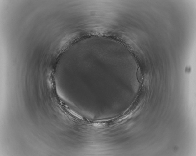 X0000093581202200711051111