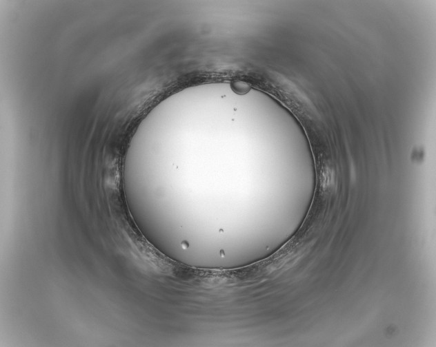 X0000093581204200711051111