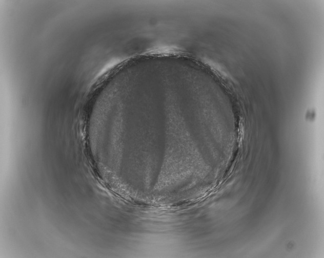 X0000093581206200711051111