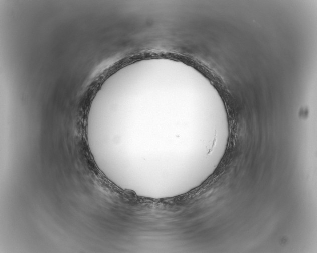 X0000093581207200711051111