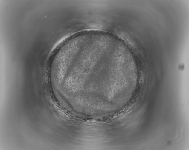 X0000093581208200711051111