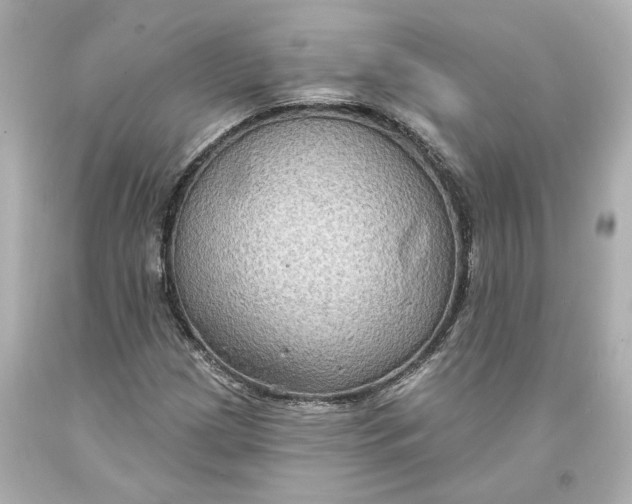 X0000093581209200711051111