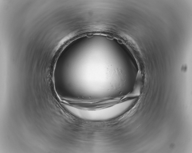 X0000093581210200711051111