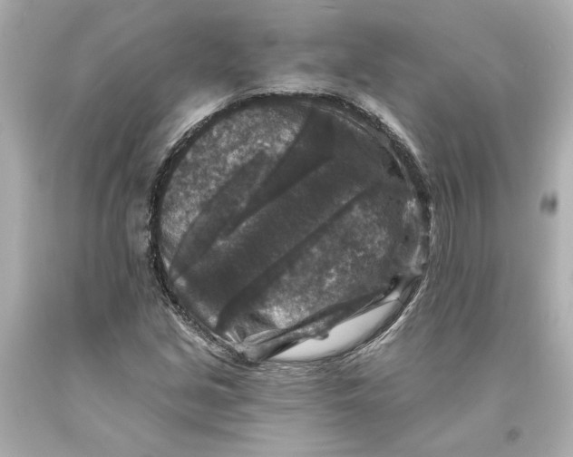 X0000093581213200711051111