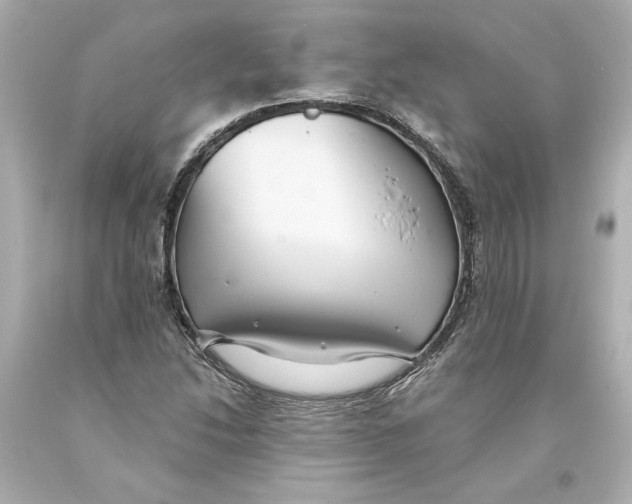 X0000093581214200711051111