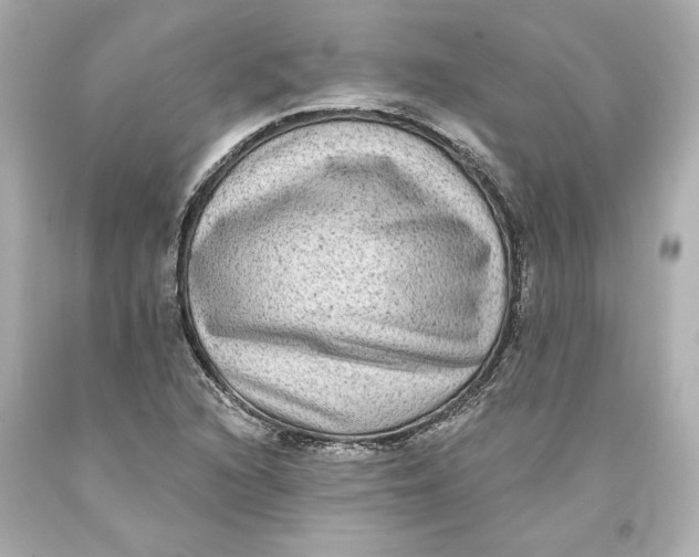 X0000093581216200711051111