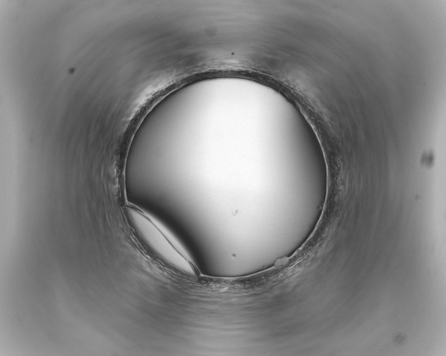 X0000093581218200711051111