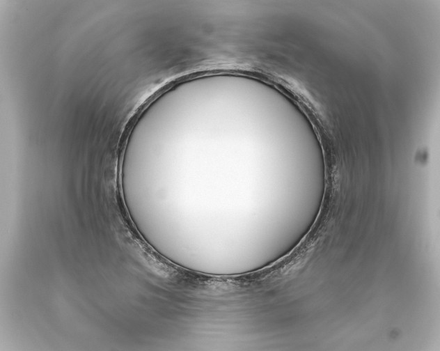 X0000093581220200711051111