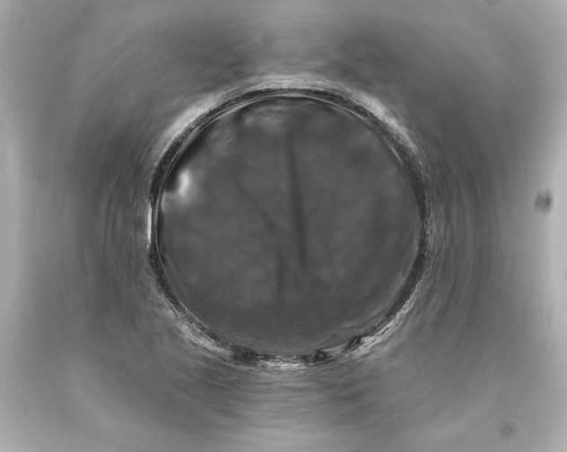 X0000093581221200711051111