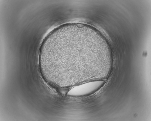 X0000093581224200711051111