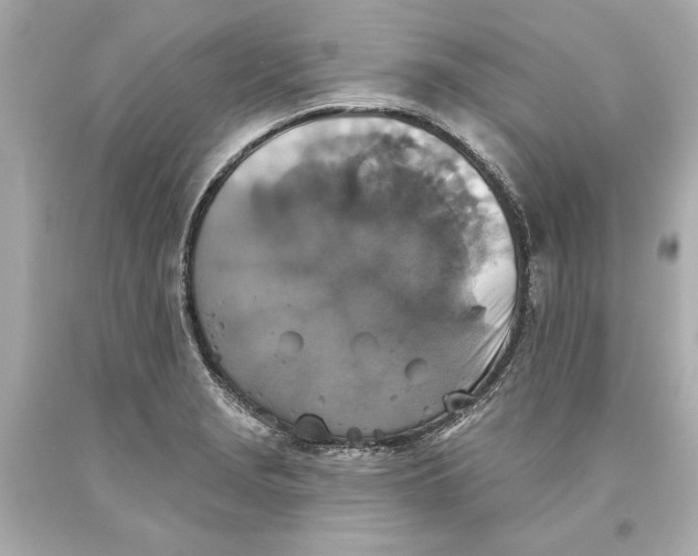 X0000093581229200711051111