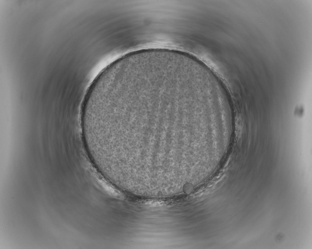 X0000093581230200711051111