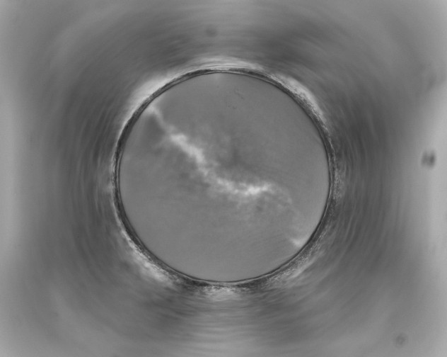 X0000093581231200711051111