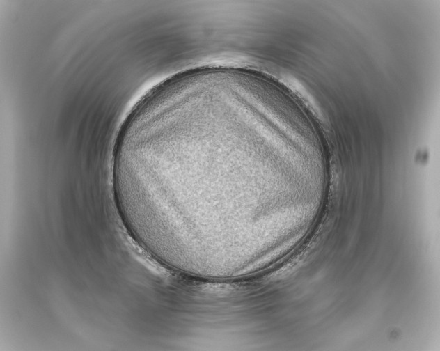 X0000093581232200711051111