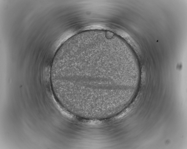 X0000093581233200711051111