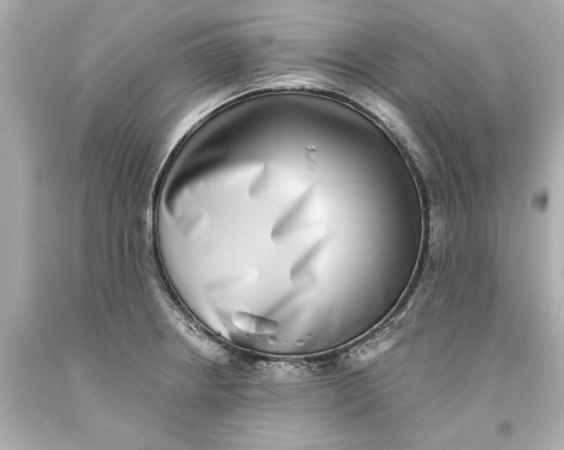 X0000093581234200711051111