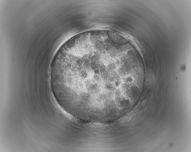 X0000093581235200711051111