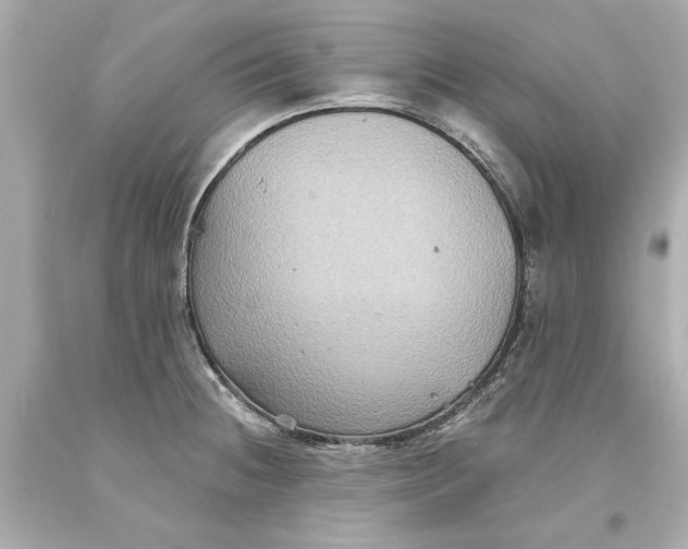 X0000093581236200711051111