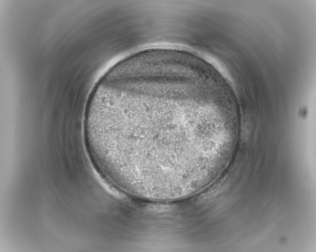 X0000093581237200711051111