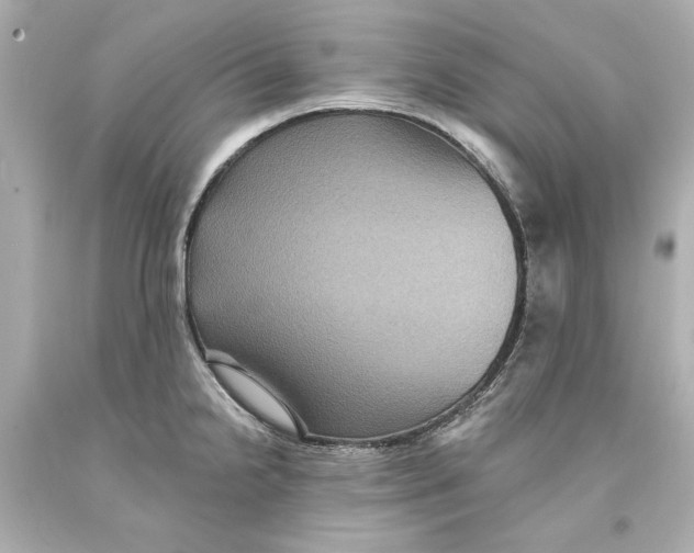 X0000093581238200711051111