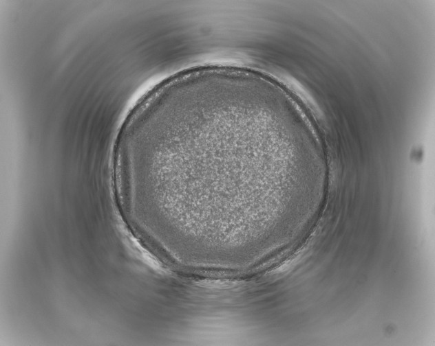 X0000093581240200711051111