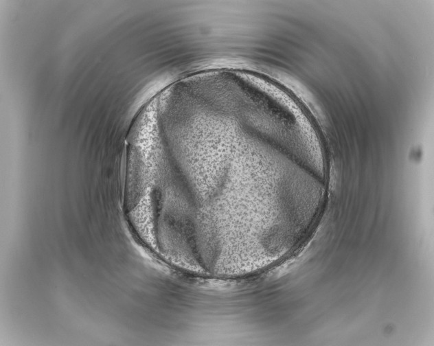 X0000093581241200711051111