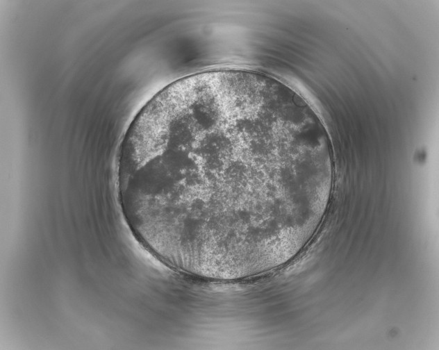 X0000093581243200711051112