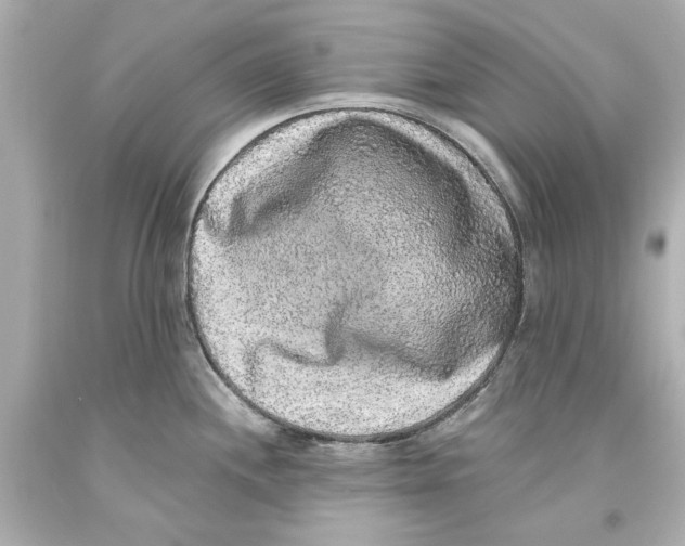 X0000093581244200711051112