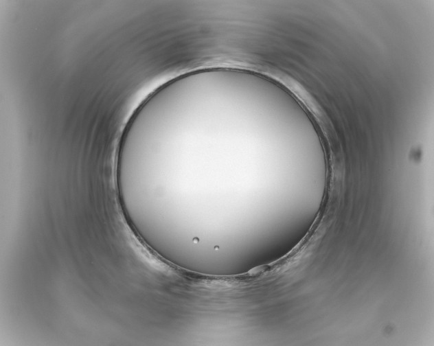 X0000093581246200711051112