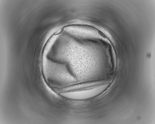 X0000093581247200711051112