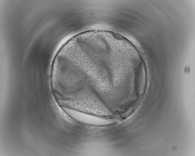 X0000093581248200711051112