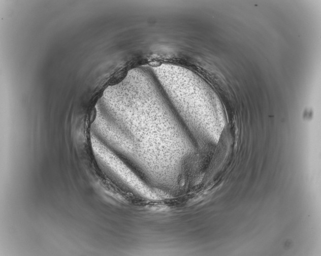 X0000093581250200711051111