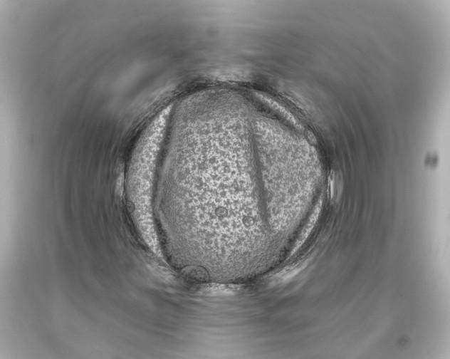 X0000093581251200711051111